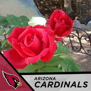 Meet your Posher, Eddie eric